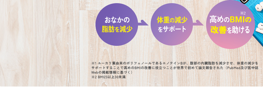 おなかの脂肪を減少 体重の減少をサポート 高めのBMI※2の改善を助ける／※1 ユーカリ葉由来のポリフェノールであるエノテインBが、腹部の内臓脂肪を減少させ、体重の減少をサポートすることで高めのBMIの改善に役立つことが世界で初めて論文報告された（PubMed及び医中誌Webの掲載情報に基づく）※2 BMI23以上30未満