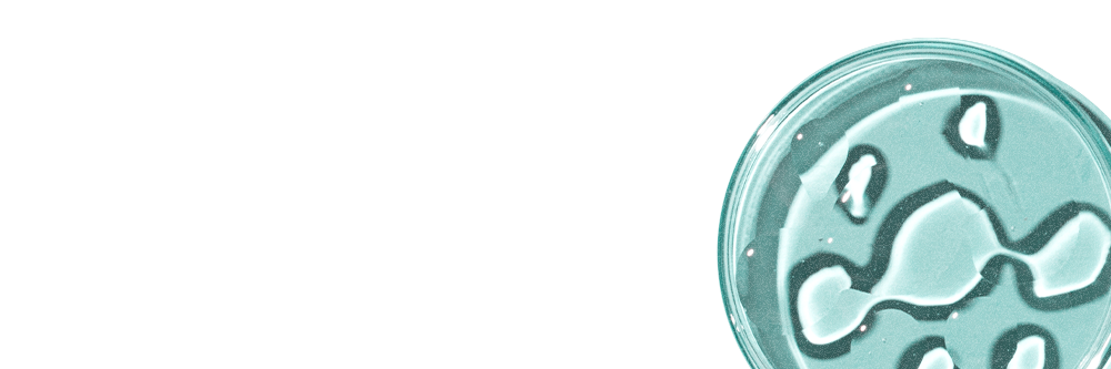 研究レビューで確認 エノテインBの継続摂取で嬉しい変化