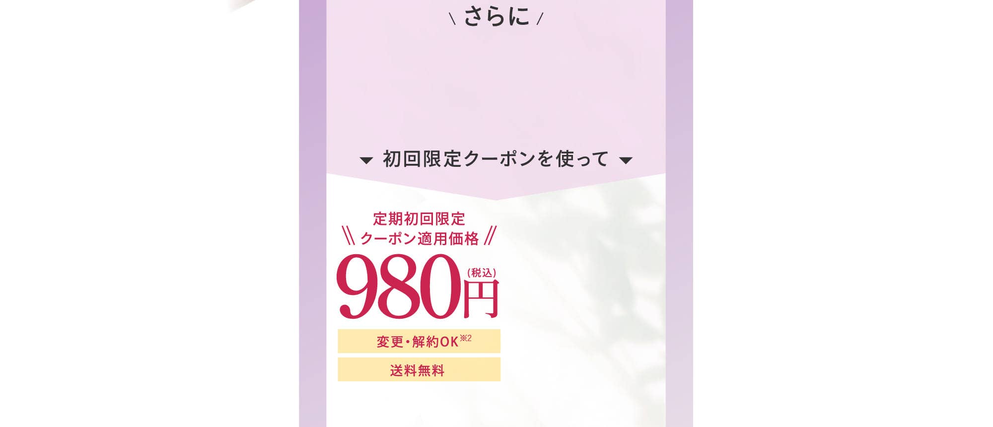 定期初回限定 クーポン適用価格