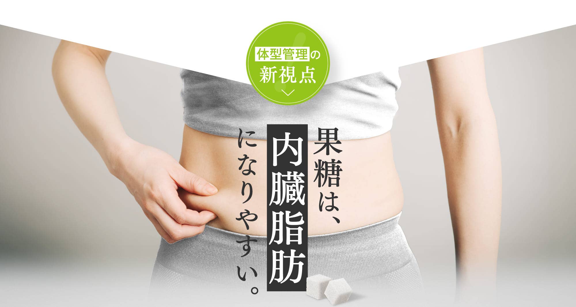 果糖は、内臓脂肪になりやすい。
