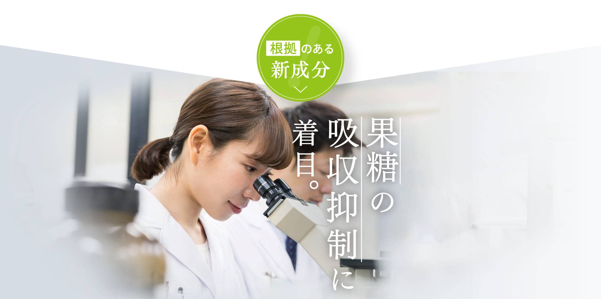 果糖の吸収抑制に着目。