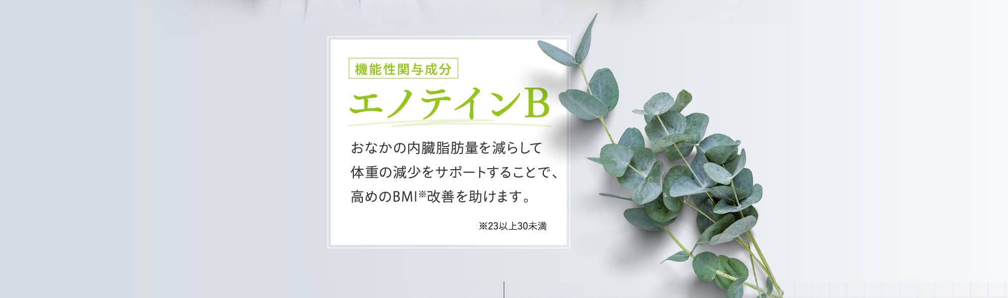 エノテインB