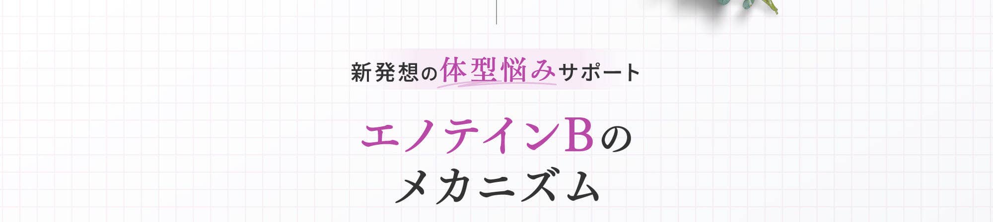 エノテインBのメカニズム