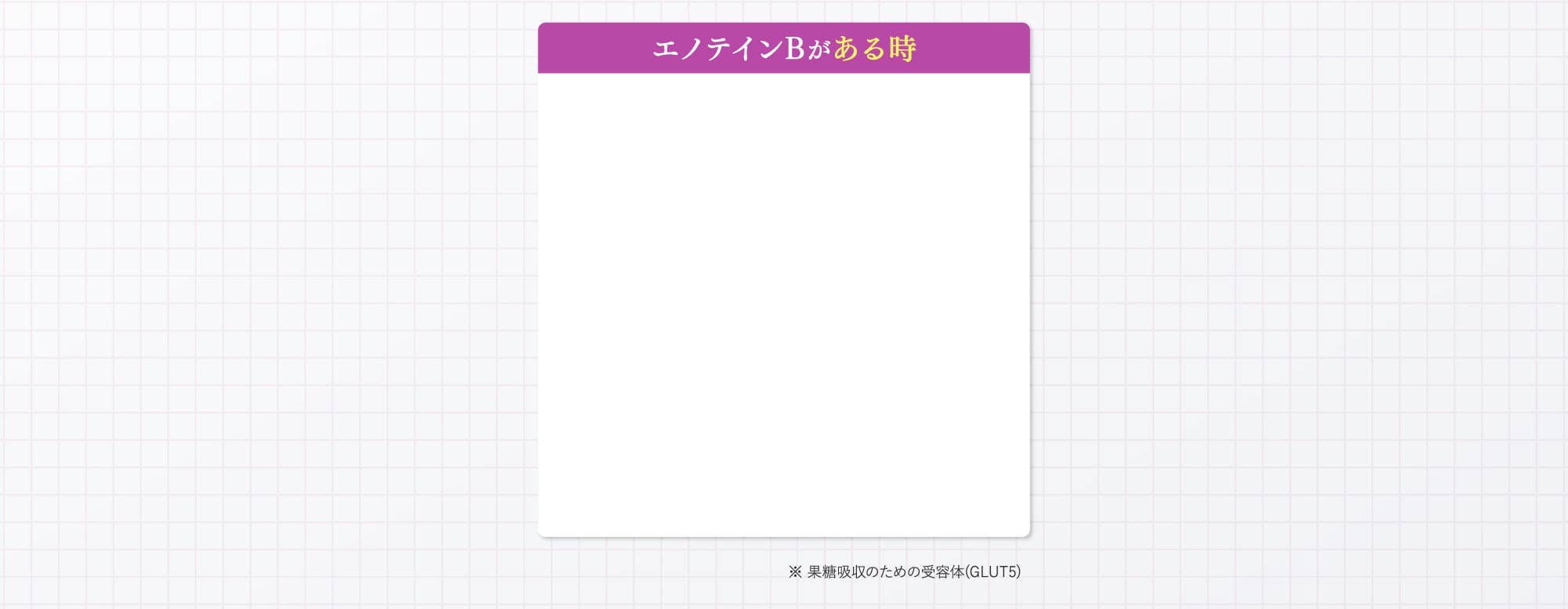 エノテインBがある時