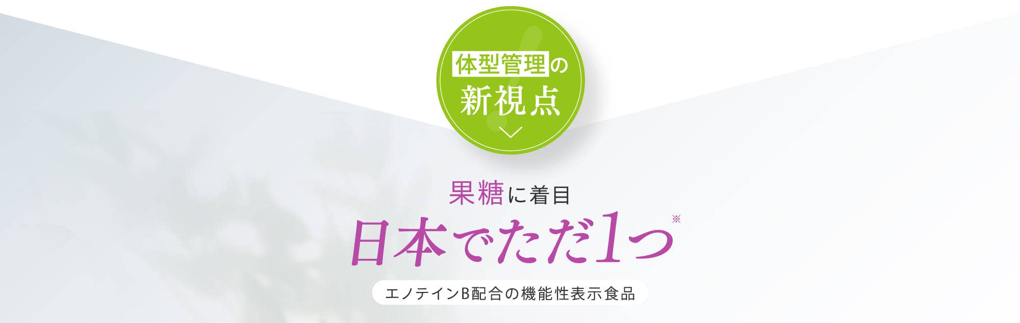果糖に着目 日本でただ1つ