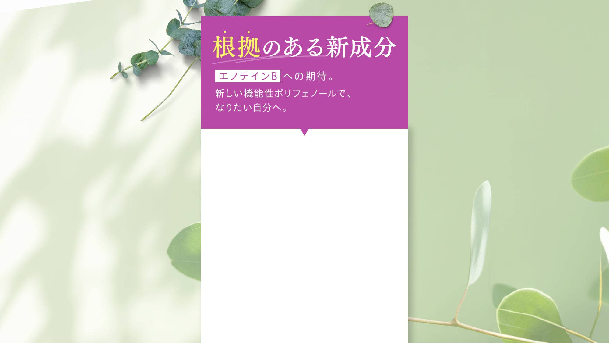 根拠のある新成分