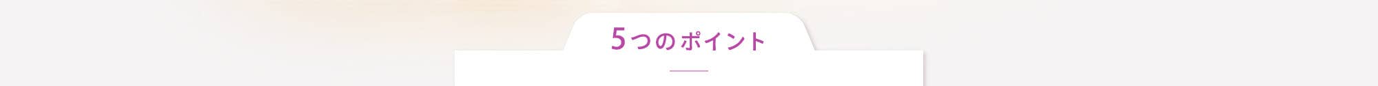 5つのポイント