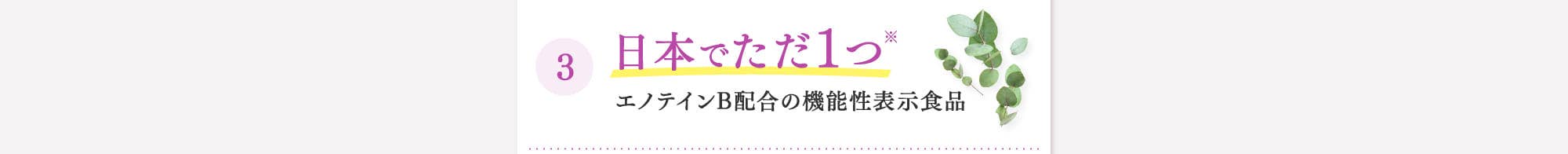 日本でただ1つ