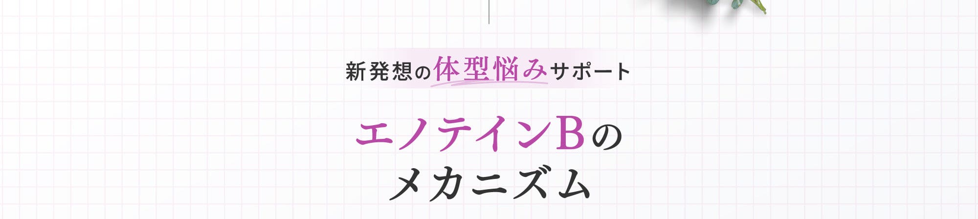 エノテインBのメカニズム