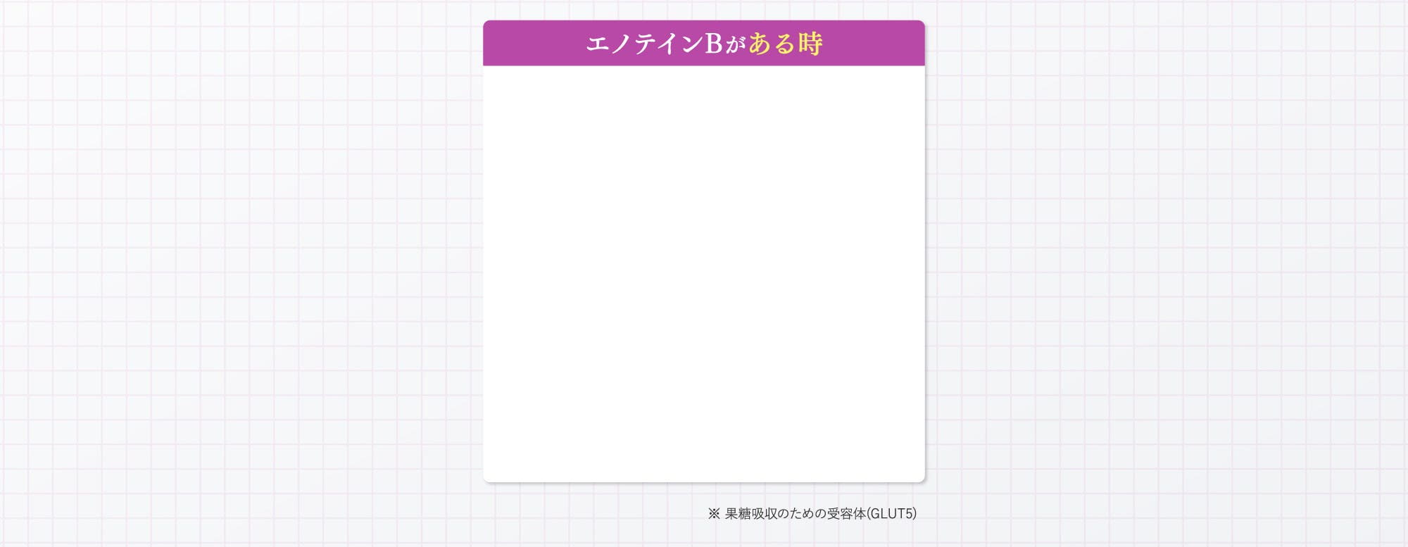 エノテインBがある時