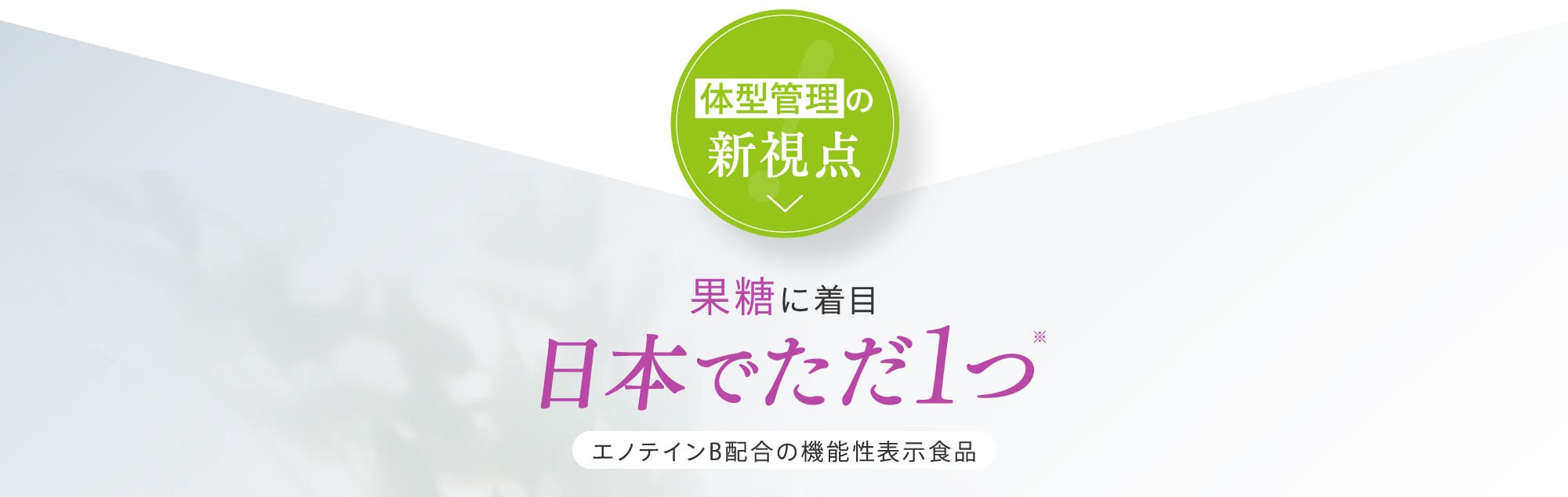 果糖に着目 日本でただ1つ
