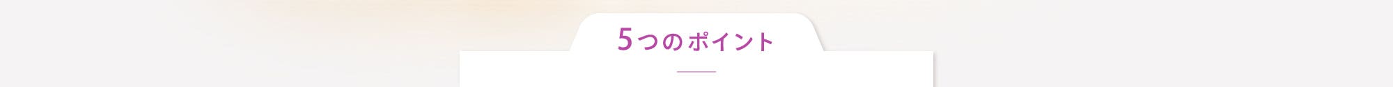 5つのポイント