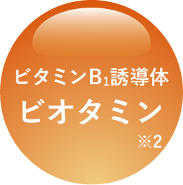 ビタミンB1誘導体ビオタミン※2