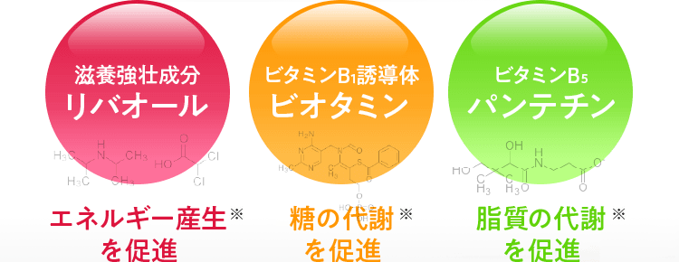 滋養強壮成分リバオール／エネルギー産生※を促進ビタミンB1誘導体ビオタミン／糖の代謝※を促進ビタミンB5パンテチン／脂質の代謝※を促進 ※成分の代表的な働きとなります