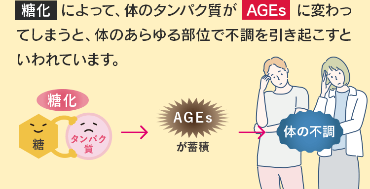 糖化によって、体のタンパク質がAGEsに変わってしまうと、体のあらゆる部位で不調を引き起こすといわれています。糖化→AGEsが蓄積→体の不調