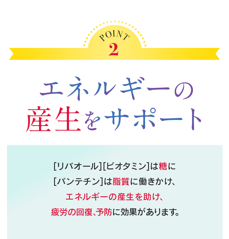 POINT2 エネルギーの産生をサポート [リバオール][ビオタミン]は糖に [パンテチン]は脂質に働きかけ、エネルギーのの産生を助け、疲労の回復、予防に効果があります。