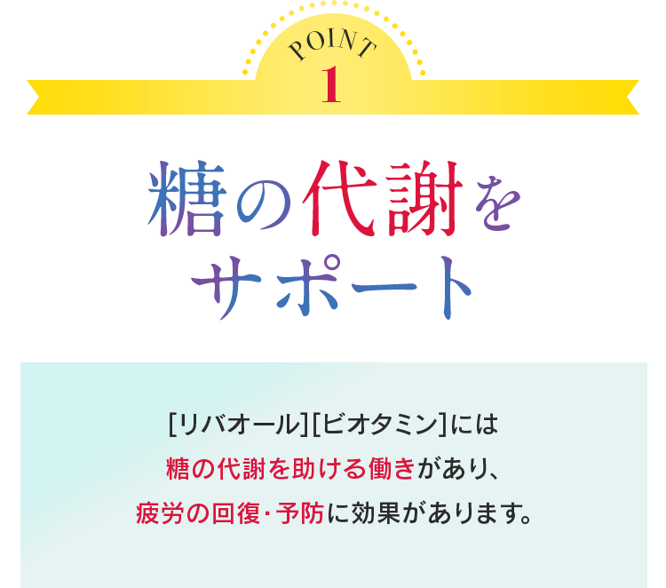 POINT1 糖の代謝をサポート[リバオール][ビオタミン]には糖の代謝を助ける働きがあり、疲労の回復・予防に効果があります。
