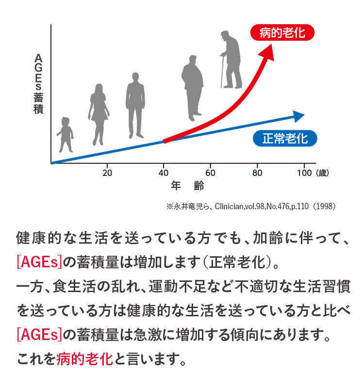 健康的な生活を送っている方でも、加齢に伴って、[AGEs]の蓄積量は増加します（正常老化）。一方、食生活の乱れ、運動不足など不適切な生活習慣を送っている方は健康的な生活を送っている方と比べ[AGEs]の蓄積量は急激に増加する傾向にあります。これを病的老化と言います。