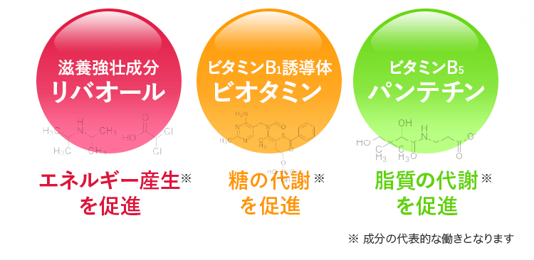 滋養強壮成分リバオール／エネルギー産生※を促進 ビタミンB1誘導体ビオタミン／糖の代謝※を促進 ビタミンB5パンテチン／脂質の代謝※を促進 ※成分の代表的な働きとなります