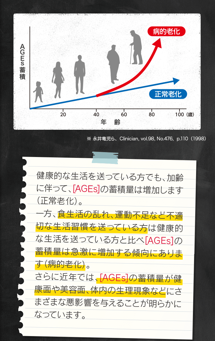 イメージ:AGEs蓄積グラフ ※ 永井竜児ら､Clinician, vol.98, No.476, p.110(1998) 健康的な生活を送っている方でも､加齢に伴って､[AGEs]の蓄積量は増加します(正常老化)｡一方､食生活の乱れ､運動不足など不適切な生活習慣を送っている方は健康的な生活を送っている方と比べ[AGEs]の蓄積量は急激に増加する傾向にあります(病的老化)｡さらに近年では､[AGEs]の蓄積量が健康面や美容面､体内の生理現象などにさまざまな悪影響を与えることが明らかになっています｡