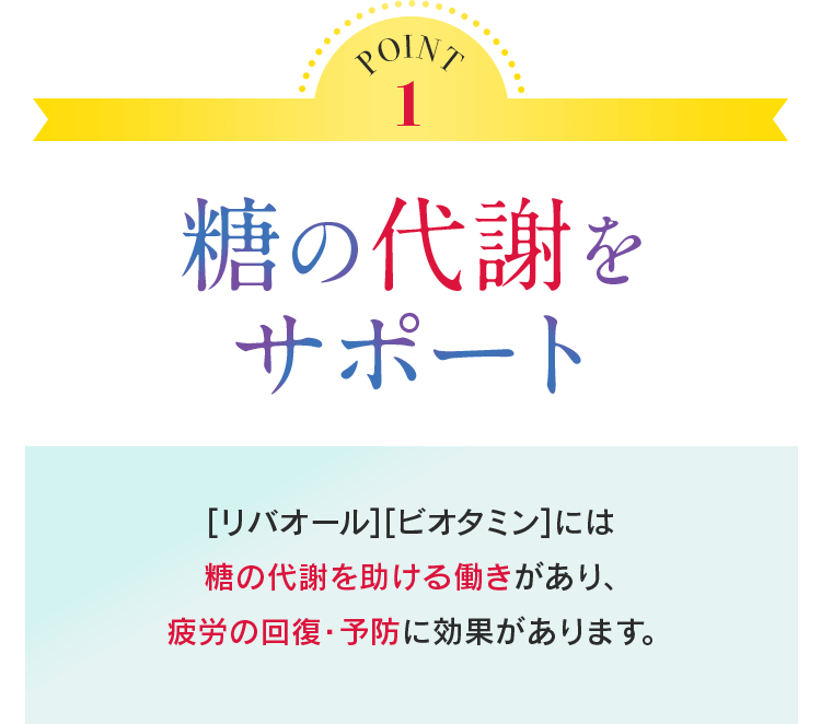 POINT1 糖の代謝をサポート [リバオール][ビオタミン]には糖の代謝を助ける働きがあり、疲労の回復・予防に効果があります。