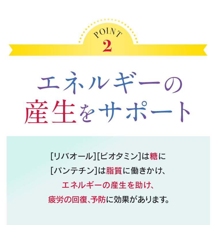 POINT2 エネルギーの産生をサポート [リバオール][ビオタミン]は糖に [パンテチン]は脂質に働きかけ、エネルギーのの産生を助け、疲労の回復、予防に効果があります。