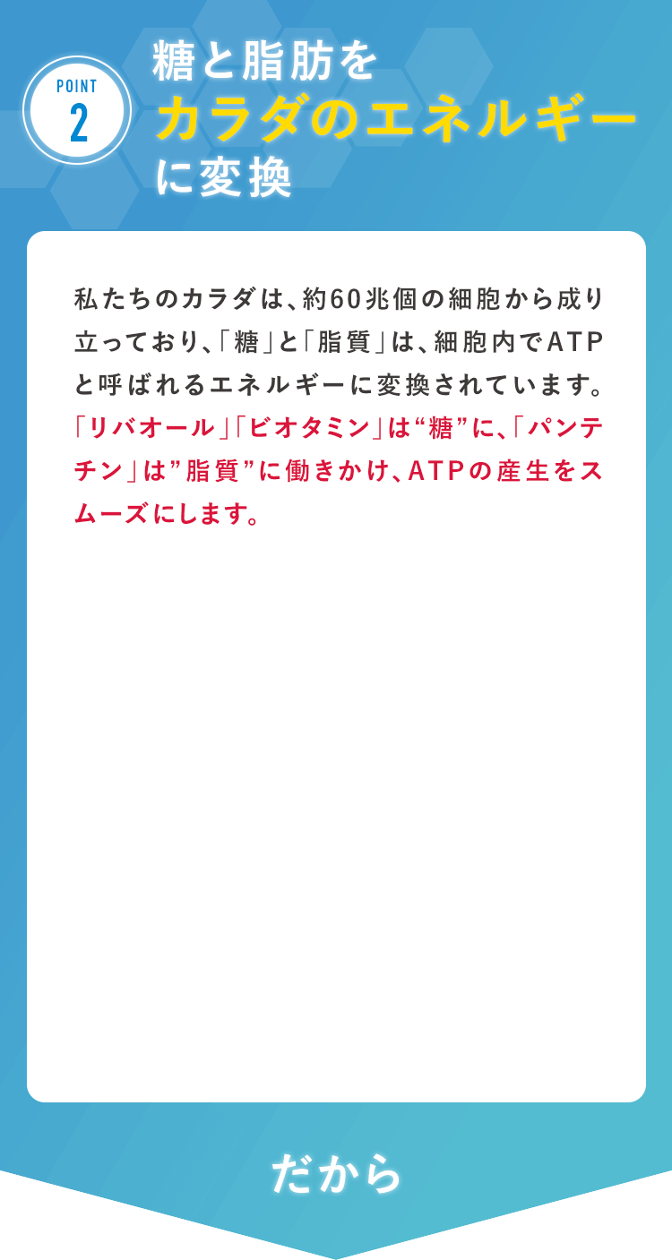 POINT2 私たちのカラダは、約60兆個の細胞から成り立っており、「糖」と「脂質」は、細胞内でATPと呼ばれるエネルギーに変換されています。「リバオール」「ビオタミン」は“糖”に、「パンテチン」は”脂質”に働きかけ、ATPの産生をスムーズにします。 だから