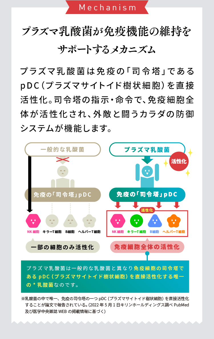 Mechanism プラズマ乳酸菌が免疫機能の維持をサポートするメカニズム プラズマ乳酸菌は免疫の「司令塔」であるpDC（プラズマサイトイド樹状細胞）を直接活性化。司令塔の指示・命令で、免疫細胞全体が活性化され、外敵と闘うカラダの防御システムが機能します。一般的な乳酸菌の図/プラズマ乳酸菌の図 プラズマ乳酸菌は一般的な乳酸菌とは異なり免疫細胞の司令塔である pDC(プラズマサイトイ樹状細胞)を直接活性化する唯一の乳酸菌なのです。※乳酸菌の中で唯一、免疫の司令塔の一つpDC(プラズマサイトイド樹状細胞)を直接活性化することが論文で報告されている。(2022年5月1日キリンホールディングス調べPubMed及び医学中央雑誌WEBの掲載情報に基づく)