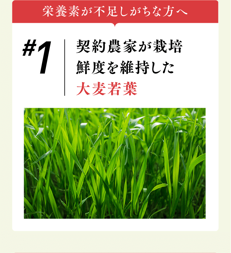 栄養素が不足しがちな方へ #1契約農家が栽培鮮度を維持した大麦若葉