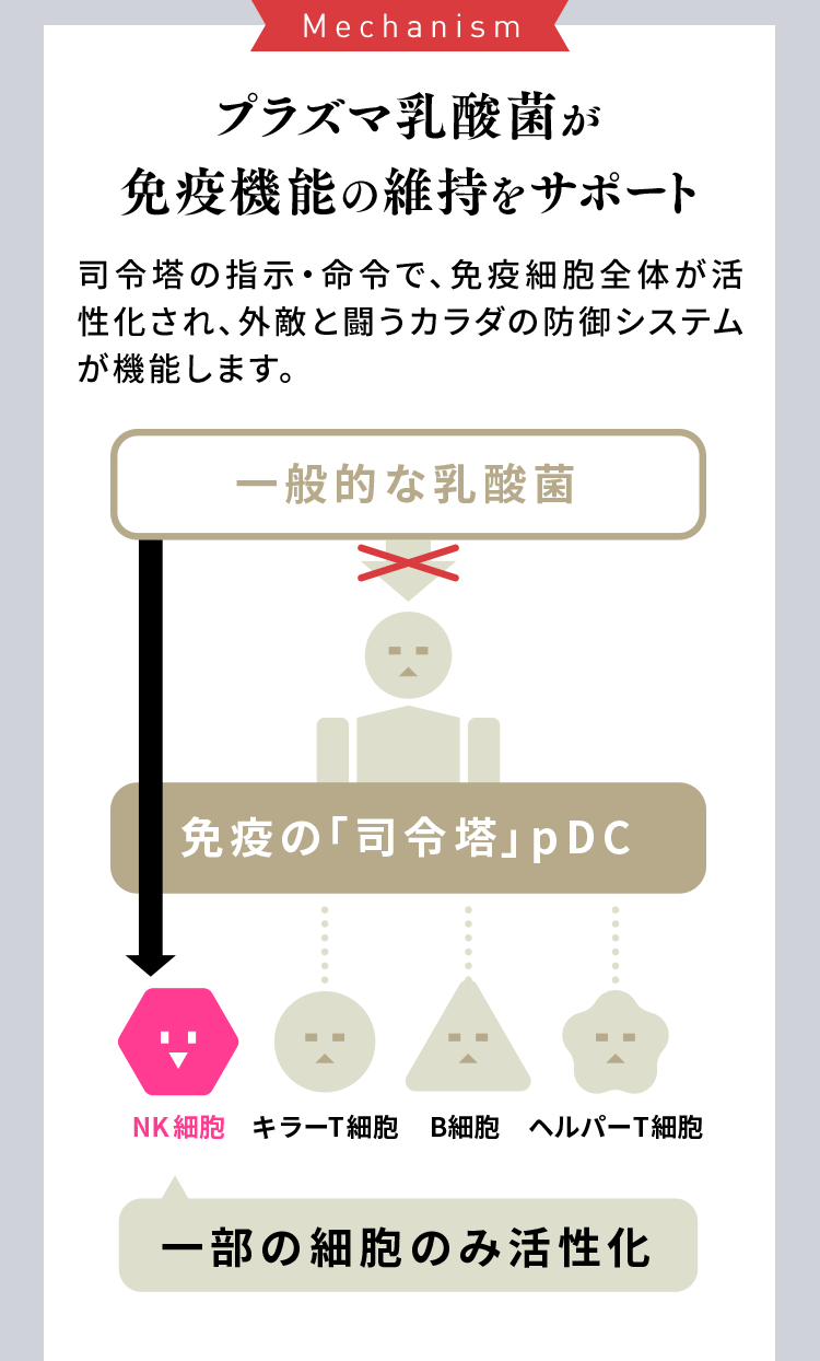 Mechanism プラズマ乳酸菌が免疫機能の維持をサポート 司令塔の司令塔の指示・命令で、免疫細胞全体が活性化され、外敵と闘うカラダの防御システムが機能します。一般的な乳酸菌の図