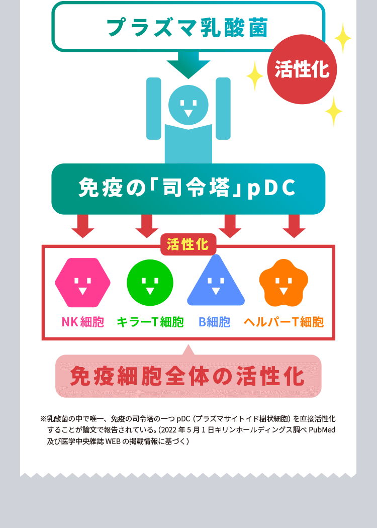 Report プラズマ乳酸菌の図 ※乳酸菌の中で唯一、免疫の司令塔の一つpDC(プラズマサイトイド樹状細胞)を直接活性化することが論文で報告されている。(2022年5月1日キリンホールディングス調べPubMed及び医学中央雑誌WEBの掲載情報に基づく)