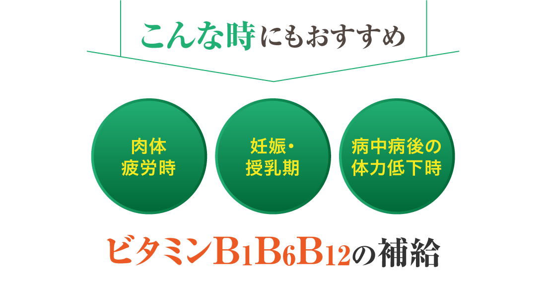 こんな時にもおすすめ 肉体疲労時 妊娠・授乳期 病中病後の体力低下時 ビタミンB1 B6 B12の補給