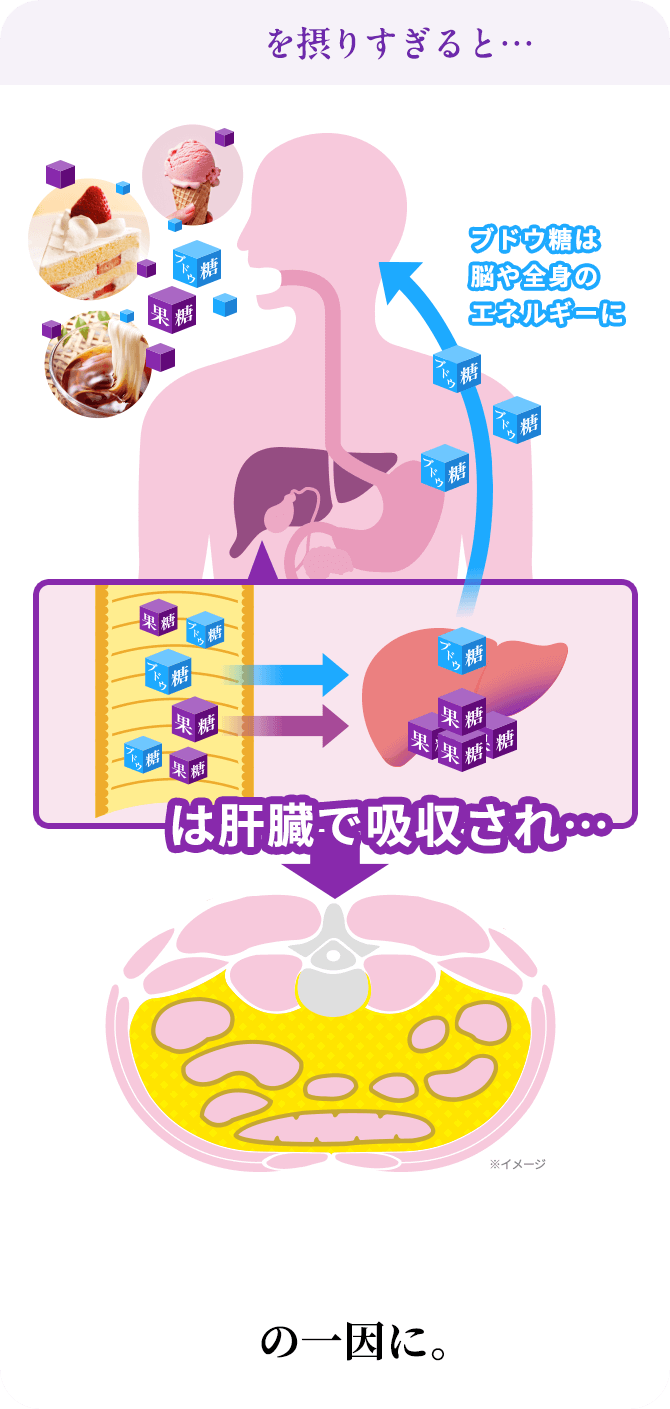 果糖を撮りすぎると…