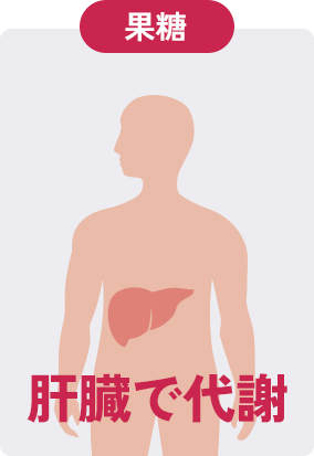 果糖肝臓で代謝