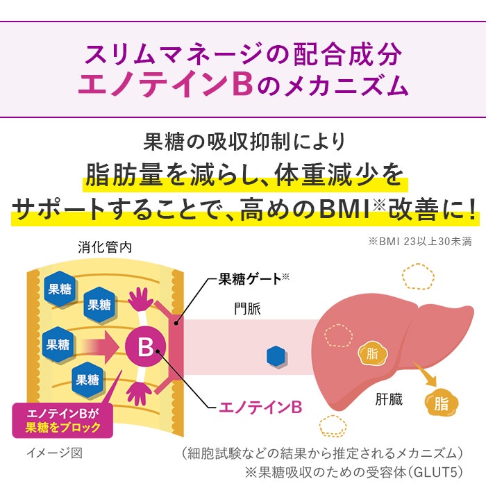 リゲインスリムマネージ